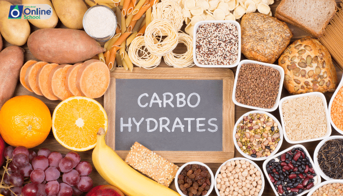 Lesson 01: Carbohydrates - Basis of Classification and Structure-Function Relationship